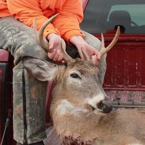 Meet your Posher, Cooper